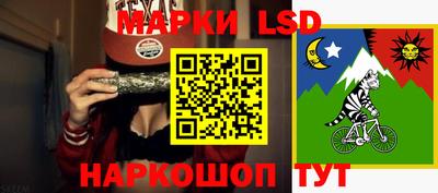 тгк Дубна