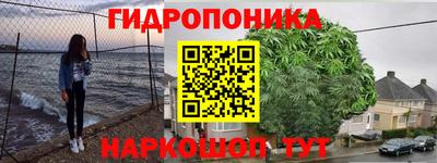 стаф Донецк