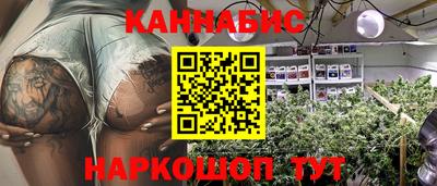 шишки Донской