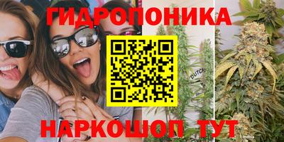 стаф Донецк