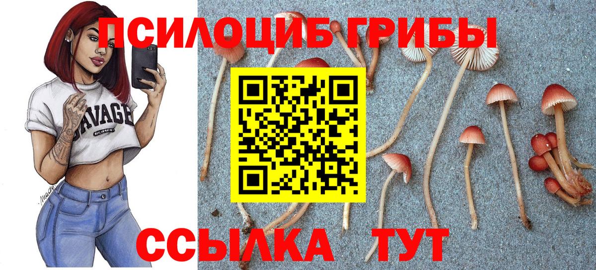 Салават  Псилоцибиновые грибы Psilocybine cubensis  Вход с VPN  Псилоцибиновые грибы мицелий 
