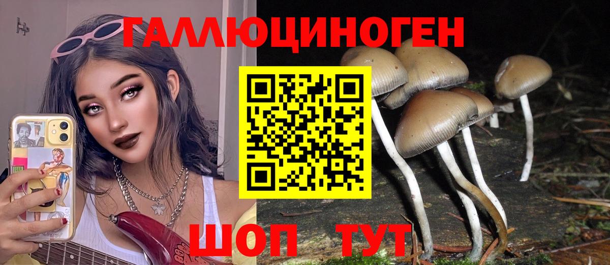 Галлюциногенные грибы мухоморы Салават